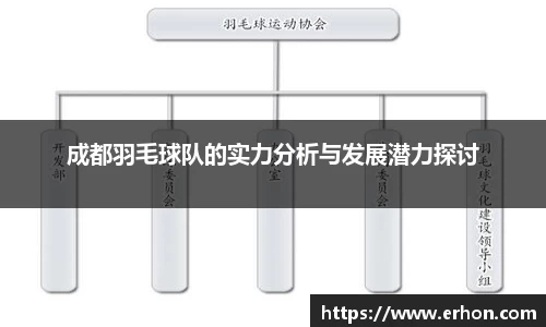 成都羽毛球队的实力分析与发展潜力探讨
